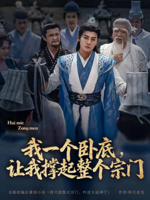 我一个卧底,让我撑起整个宗门(72集)张元帅&生宸&李梓荧-搜外项目网