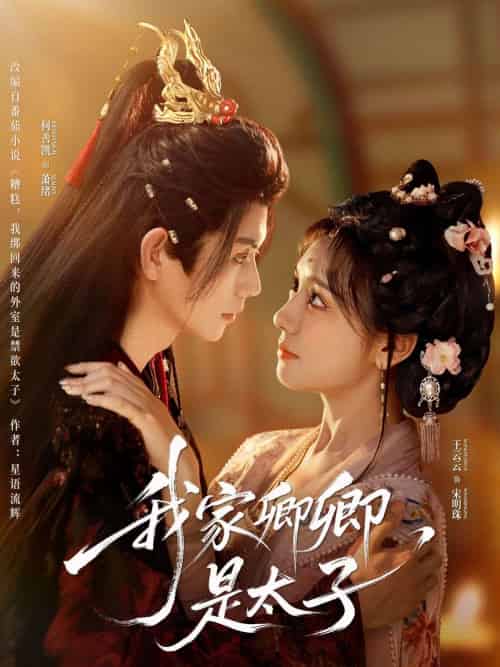 我家卿卿是太子（81集）何善凯＆彩彩云-搜外项目网