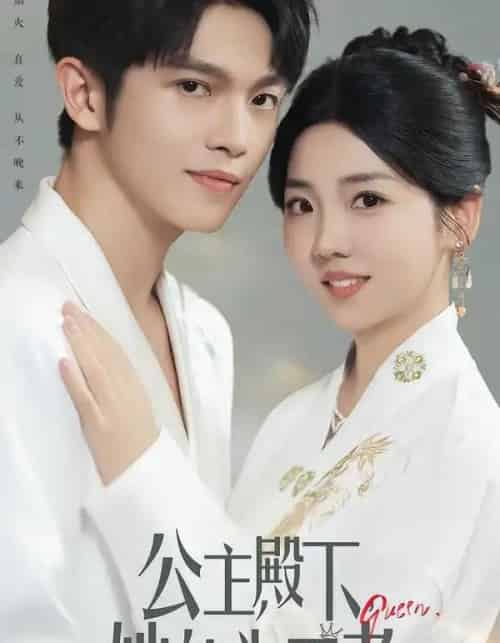公主殿下，她终为王者（62集全）林辉瑝＆李海蒂-搜外项目网