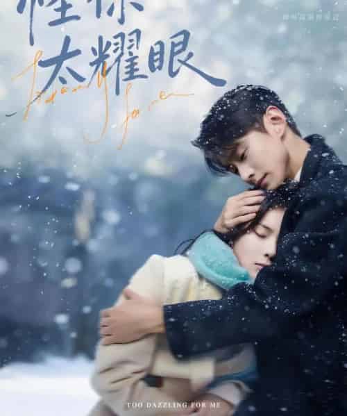 怪你太耀眼（78集全）刘夕语＆李卓扬-搜外项目网