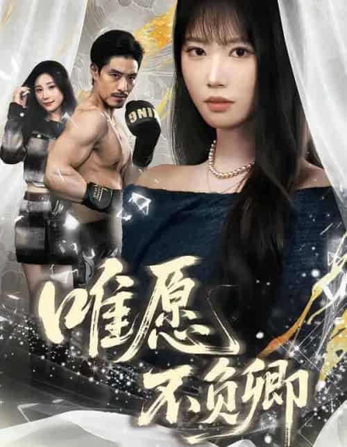 唯愿不负卿（40集全）王熳熳＆丘子健-搜外项目网