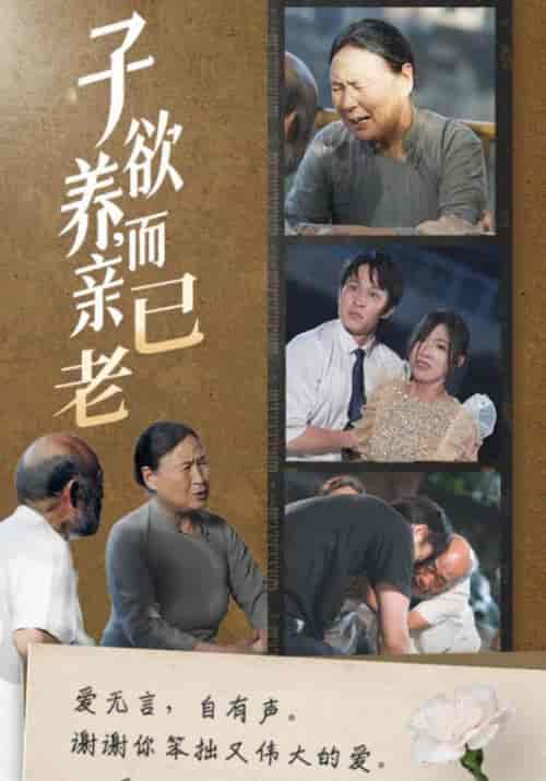 子欲养，而亲已老（58集全）庄天赐＆宋暖-搜外项目网