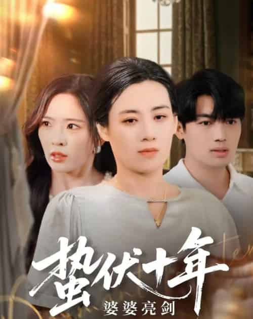 蛰伏十年婆婆亮剑(45集)刘洋&赵兰君-搜外项目网