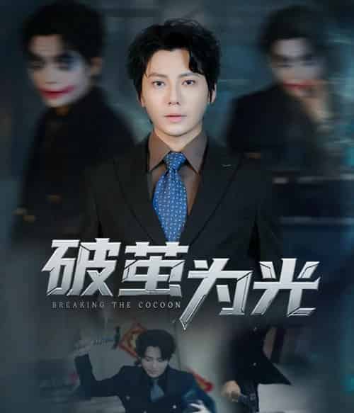 破茧为光(60集全)金珊&王梓潇-搜外项目网