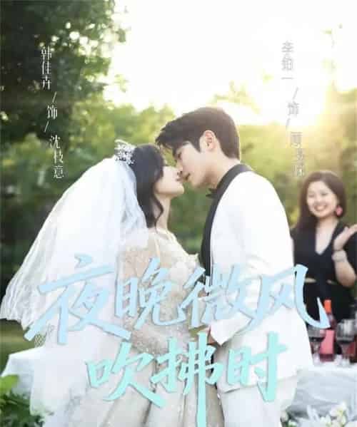 夜晚微风吹拂时（61集全）李铂一＆韩佳卉-搜外项目网