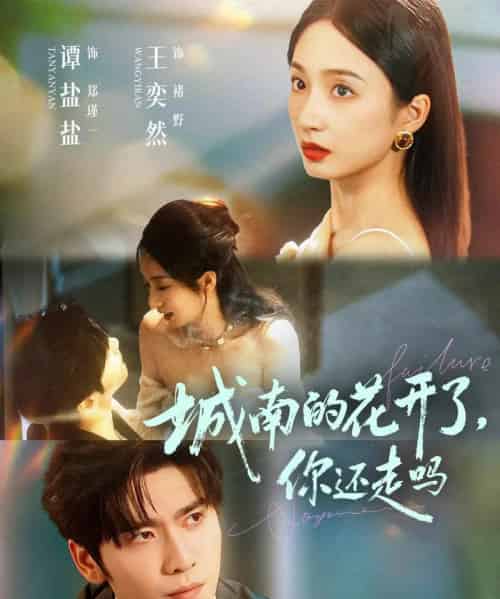 城南的花开了，你还走吗（84集全）王奕然＆谭盐盐-搜外项目网