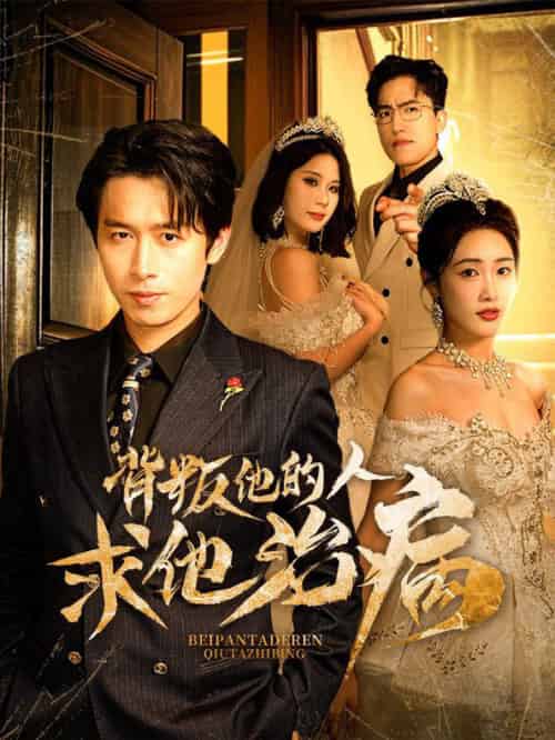 背叛他的人求他治病（77集全）严浩＆刘星辰-搜外项目网