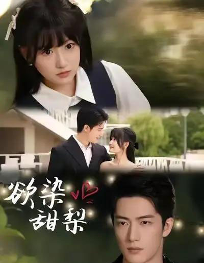 欲染甜梨（63集全）李咏婧＆焦睿-搜外项目网