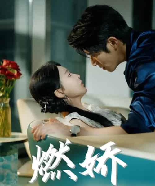 燃娇（81集）杨宇斌＆陈思澈-搜外项目网