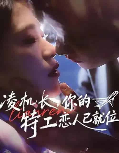凌机长,你的特工恋人已就位(71集全)陈钊翌&妞妞-搜外项目网