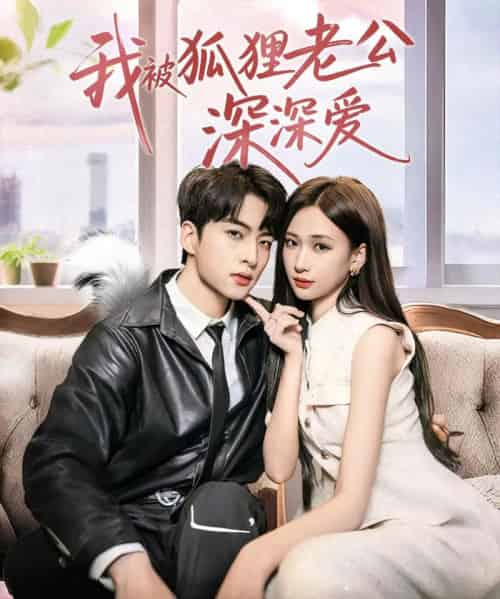 我被狐狸老公深深爱（80集）张予湉＆张昊旸-搜外项目网