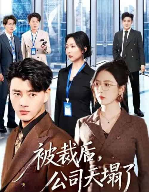 被裁后，公司天塌了（66集全）李进源＆金鑫欣-搜外项目网