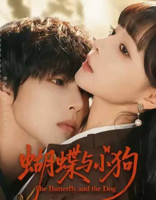 蝴蝶与小狗（70集全）马义炎＆唐七七-搜外项目网