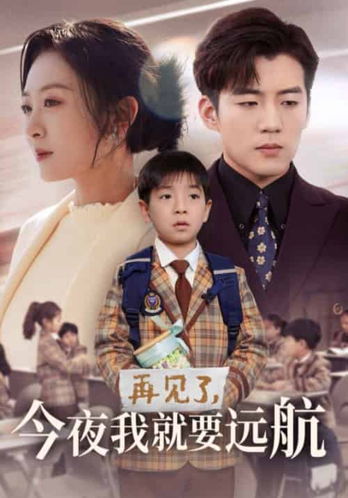 再见了今夜我就要远航(49集全)杜培源&程琳淼-搜外项目网