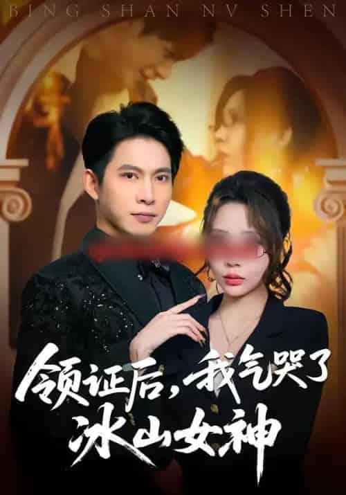 领证后，我气哭了冰山女神（60集全）金威＆月野兔-搜外项目网