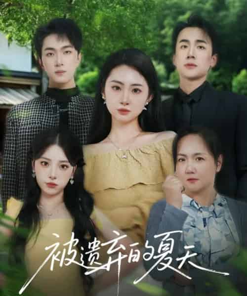 被遗弃的夏天（65集）孙茂峰＆胡宾格-搜外项目网