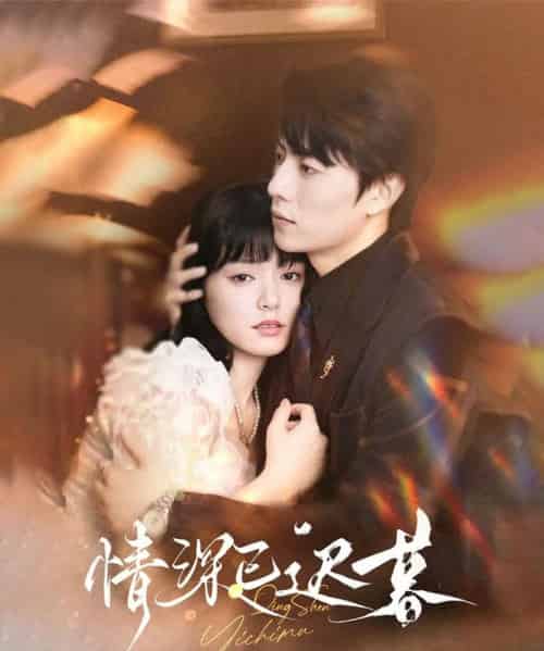 情深已迟暮（50集）张磊＆苏祈安-搜外项目网