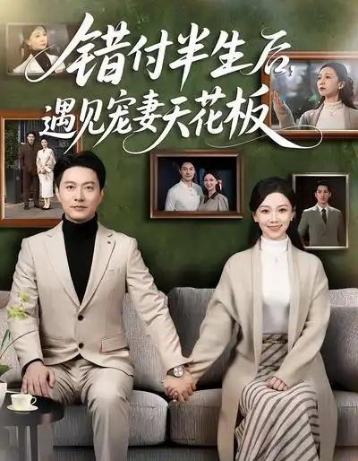 错付半生后，遇见宠妻天花板（80集全）鞠瑾＆樊磊-搜外项目网