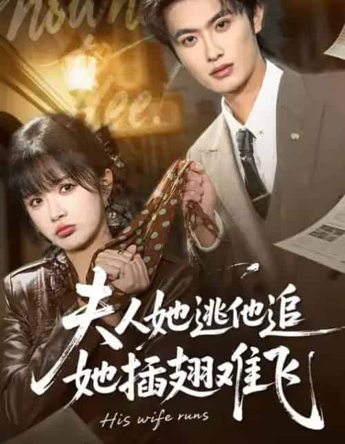 夫人她逃他追，她插翅难飞（101集全）孙嘉俊＆祁乐-搜外项目网
