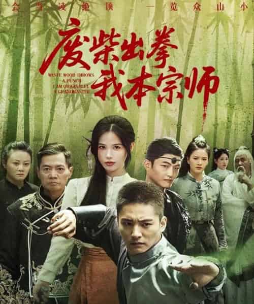 废柴出拳我本宗师（61集）张乐瑶-搜外项目网