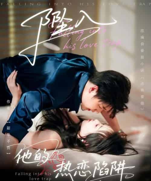 坠入他的热恋陷阱(82集)陆子栩&王惠子-搜外项目网