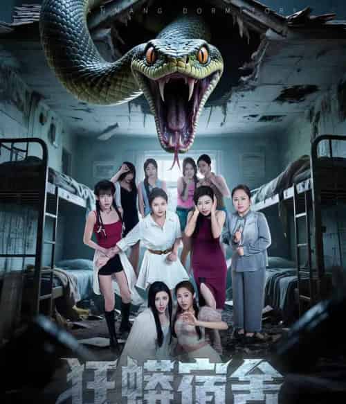 狂蟒宿舍（50集）陈诺＆涂蕊＆岳桐-搜外项目网