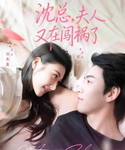 沈总，夫人又在闯祸了（79集全）熊云皓＆刘禹鑫-搜外项目网