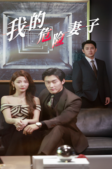 我的危险妻子（30集全）-搜外项目网