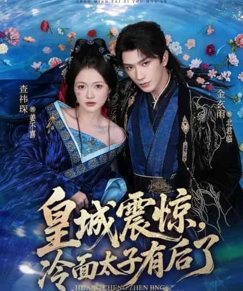 皇城震惊,冷面太子有后了(80集全)金玄雨&查祎琛-搜外项目网