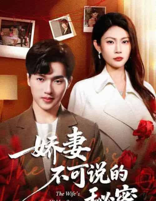 娇妻不可说的秘密（47集全）卫腾宇＆曹梦莹-搜外项目网
