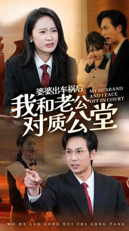 《婆婆出车祸后我和老公对质公堂》全集剧情介绍 - 搜外短剧
