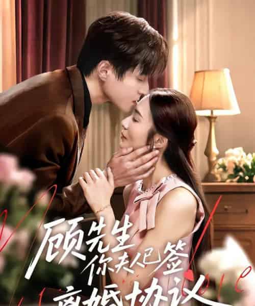 顾先生你夫人已签离婚协议(60集)胡悦&韩品杰-搜外项目网