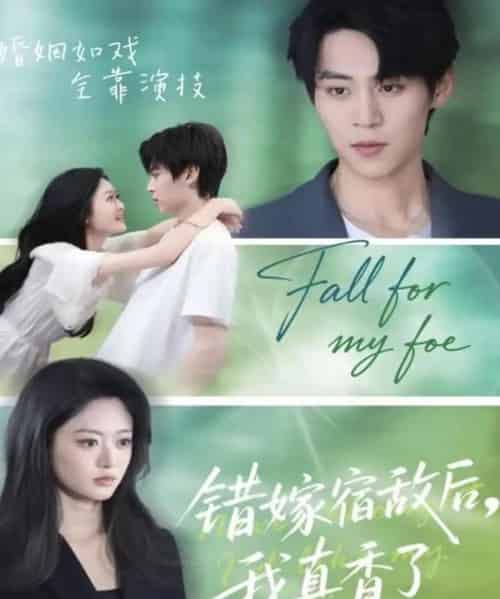 错嫁宿敌后,我真香了(73集全)朱傲宇&王米泽-搜外项目网
