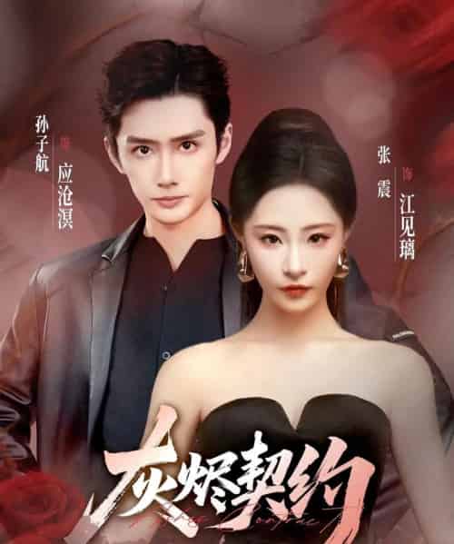 灰烬契约（58集全）孙子航＆张震-搜外项目网