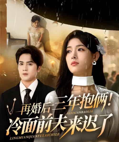 再婚后三年抱俩冷面前夫来迟了（63集全）周士超＆姜钰佳-搜外项目网