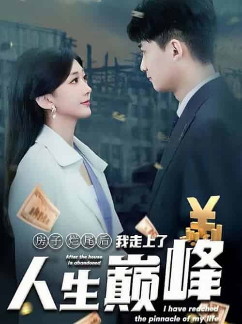 房子烂尾后我走上了人生巅峰（36集全）-搜外项目网