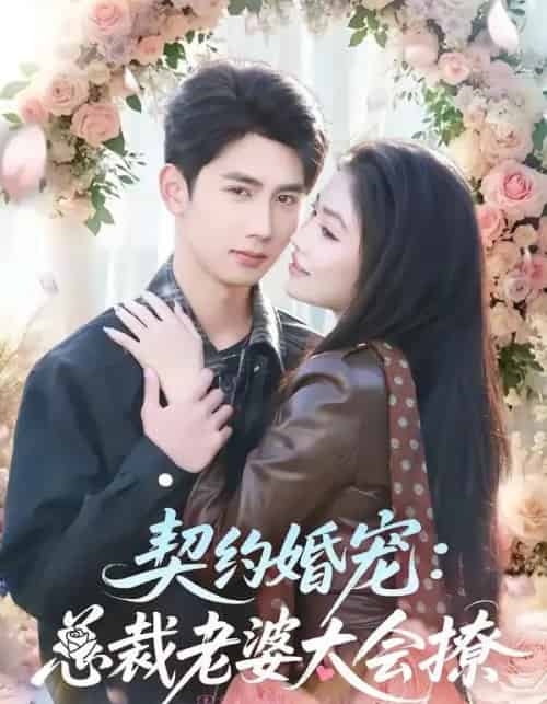 契约婚宠：总裁老婆太会撩（82集全）柳贯一＆骆虹宇-搜外项目网