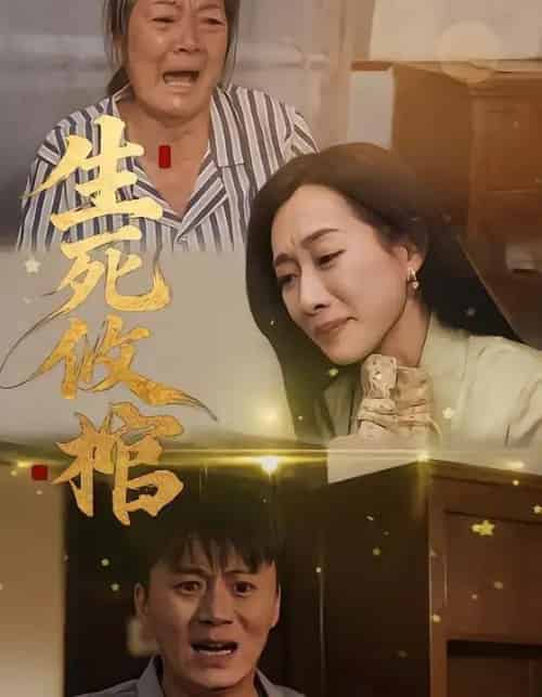 生死攸棺(52集全)戴金麟&赵靖祎-搜外项目网