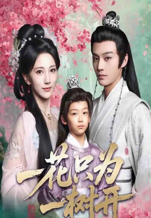 一花只为一树开（54集）柳甯＆高明君-搜外项目网