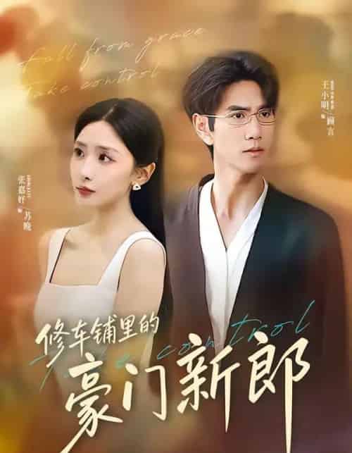 修车铺里的豪门新郎(34集全)张嘉妤&王小明-搜外项目网