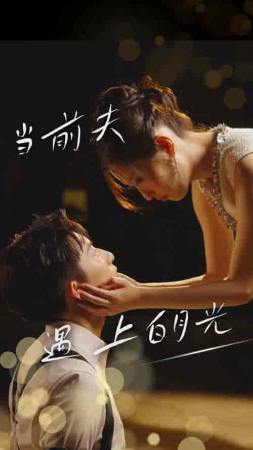 当前夫遇上白月光（28集全）-搜外项目网