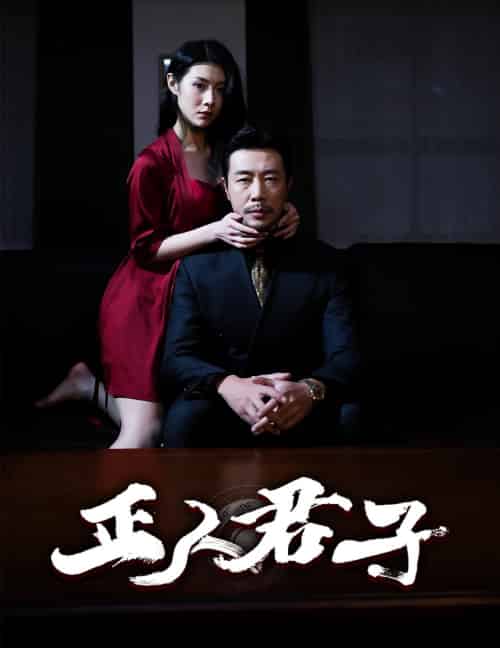 正人君子(56集全)苗峯&刘源-搜外项目网