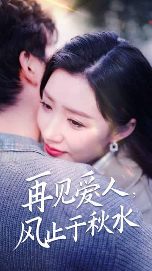 再见爱人风止于秋水(68集全)陈沛苏&孙同钰&袁颖-搜外项目网