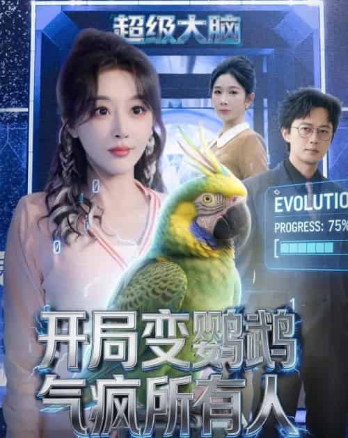 开局变鹦鹉气疯所有人(66集全)李季&张棠-搜外项目网