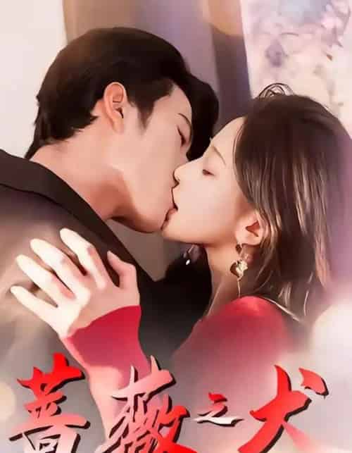 蔷薇之犬（60集全）齐宥澄＆韩录锦-搜外项目网