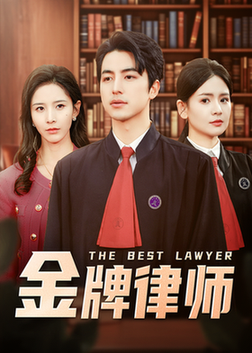 金牌律师（48集全）吴昊＆丁晓-搜外项目网
