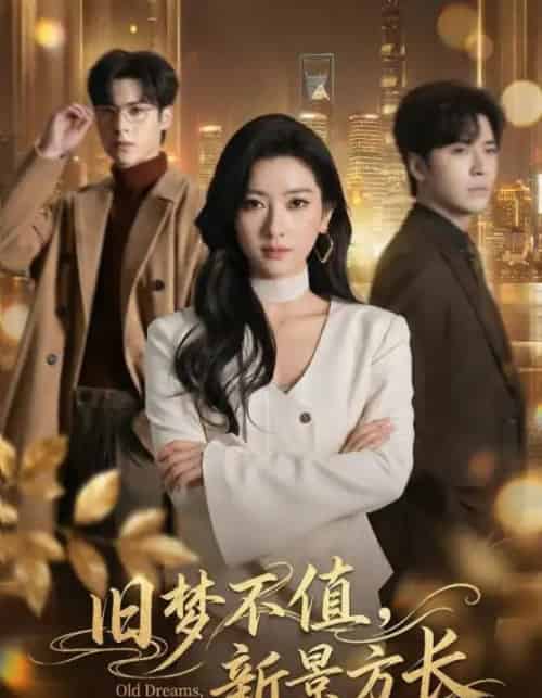 旧梦不值，新景方长（70集全）范晓东＆张张（张玉娇）-搜外项目网