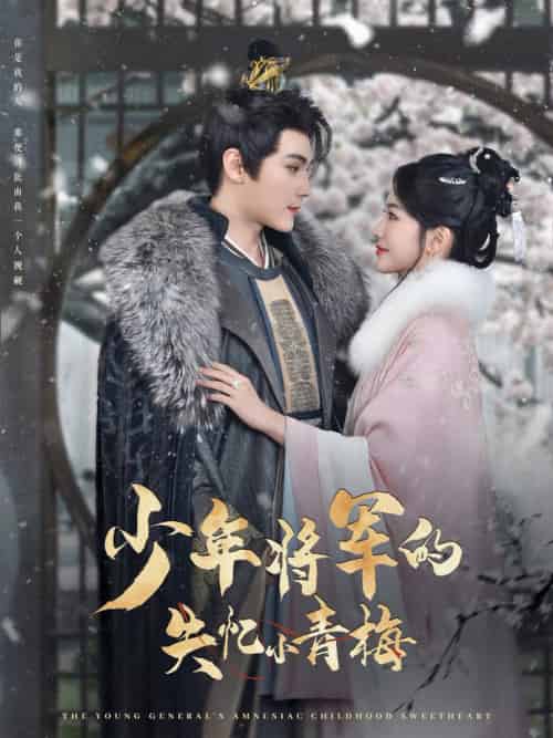 少年将军的失忆小青梅（100集全）赵垣又＆牛湘鹭-搜外项目网