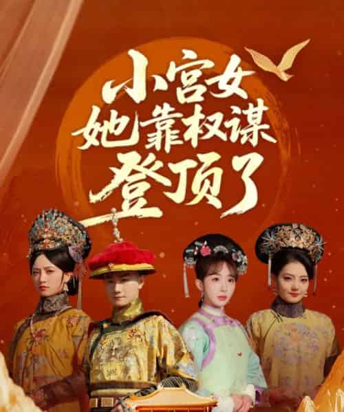 小宫女她靠权谋登顶了(80集)俞秉辰&房蕾-搜外项目网