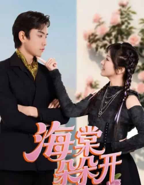 海棠朵朵开（64集全）王子怡＆熊云皓-搜外项目网